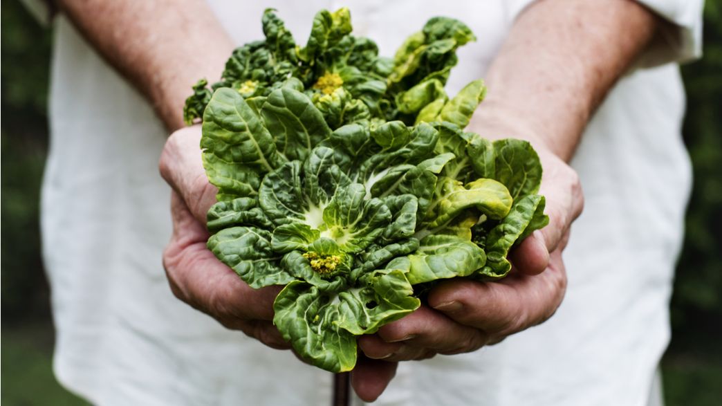 We Now Know Why Dark Leafy Greens Reduce The Risk Of Cancer IFLScience