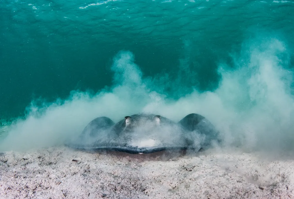 Yekaterina Solomatina yalangoch fotosurat