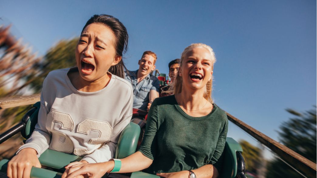 Cannibalism Roller Coasters And Voodoo Dolls Are All Winners Of This Year S Ig Nobel Awards