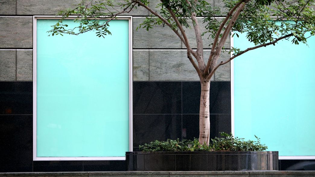 Can You Tell The Difference Between Blue And Green? IFLScience