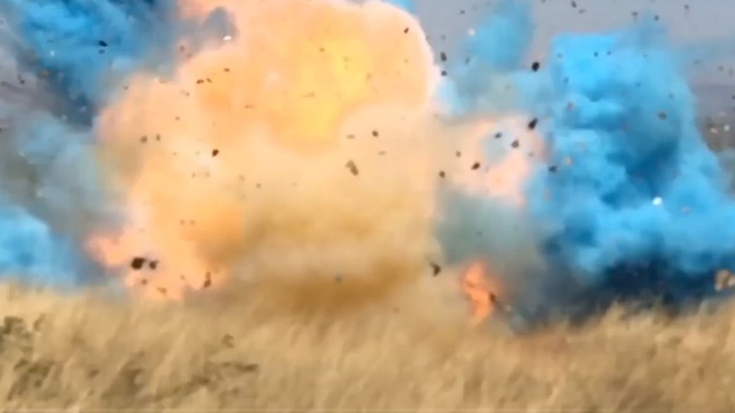 Party Exploded How One Party Caused Millions Of Dollars Worth Of Damage | IFLScience