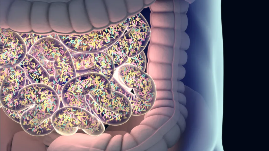 https://www.iflscience.com/health-and-medicine/fibromyalgia-linked-to-nearly-20-different-kinds-of-gut-bacteria/