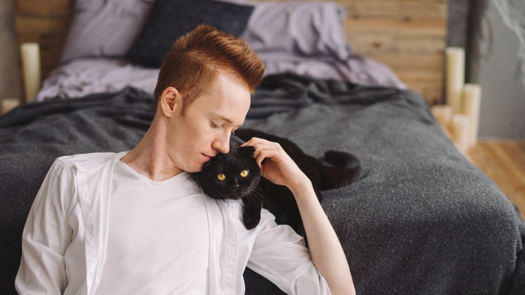 Cats Form Attachments With Human Caretakers Much Like Dogs And Children