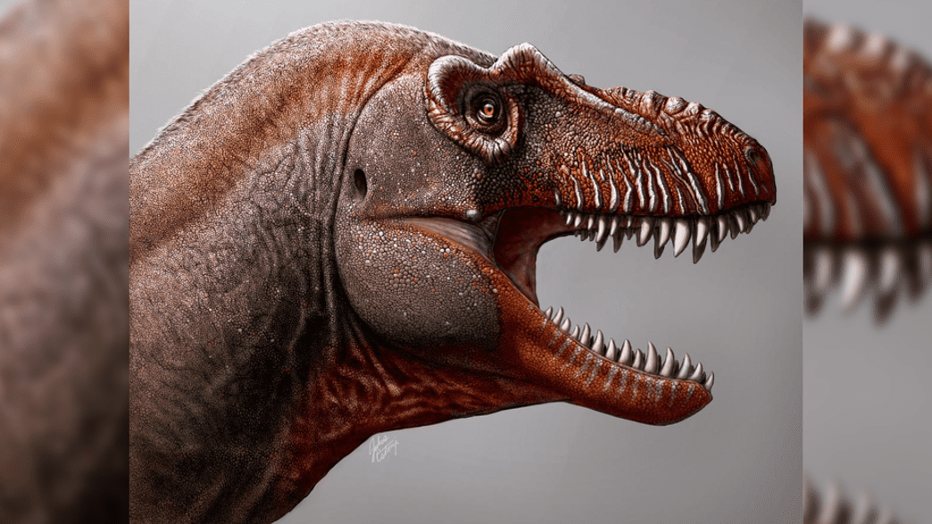 TRex Cousin "Reaper Of Death" Discovered In Canada IFLScience
