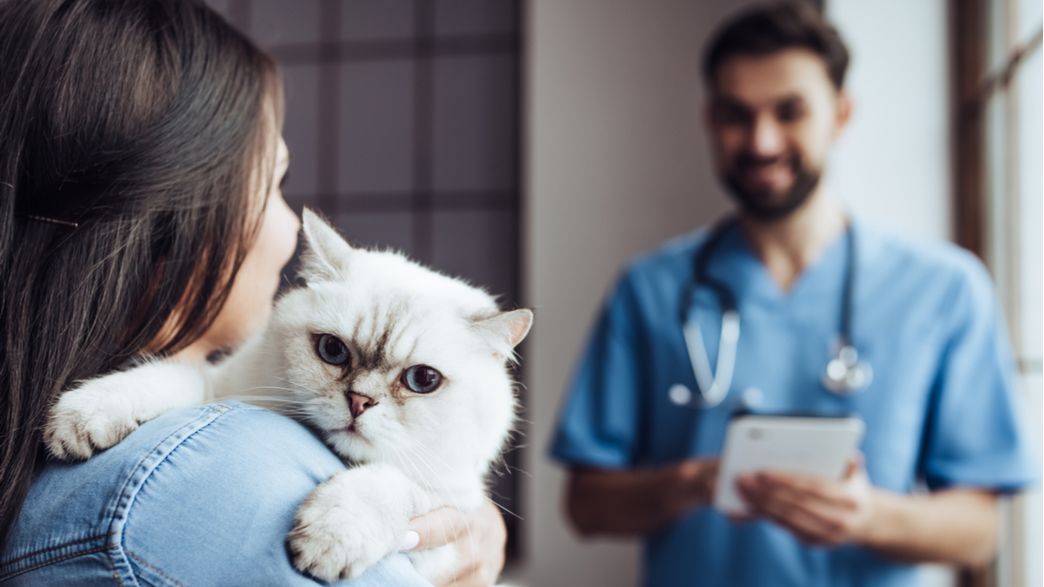 Can Your Pet Get Coronavirus? IFLScience