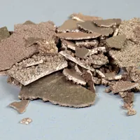 Metal-Eating Bacteria Discovered By Accident Over A Century After
