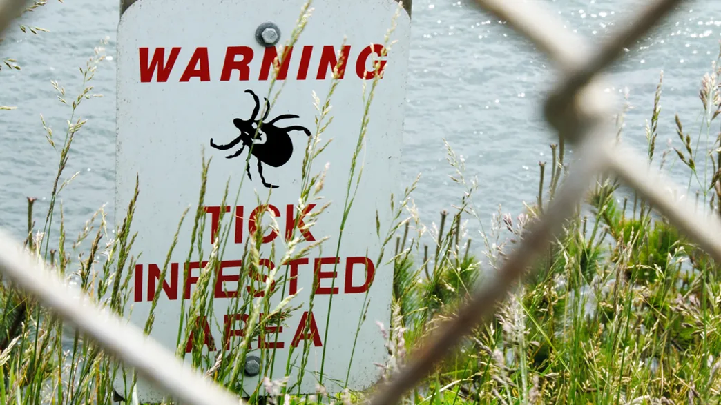 https://www.iflscience.com/a-new-lyme-disease-vaccine-is-showing-promise-56882