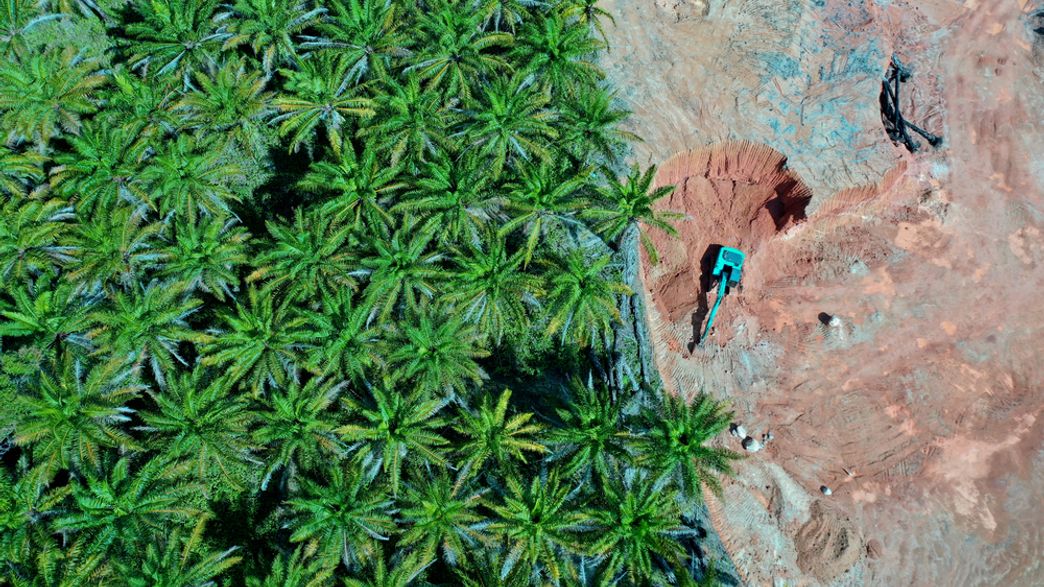 Failure For Biodiversity Convention As The World Flunks On All 2020 ...