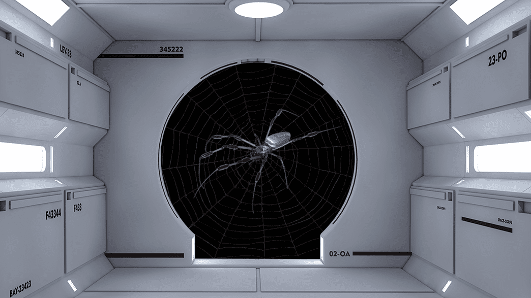 1607706158-in-space-no-one-can