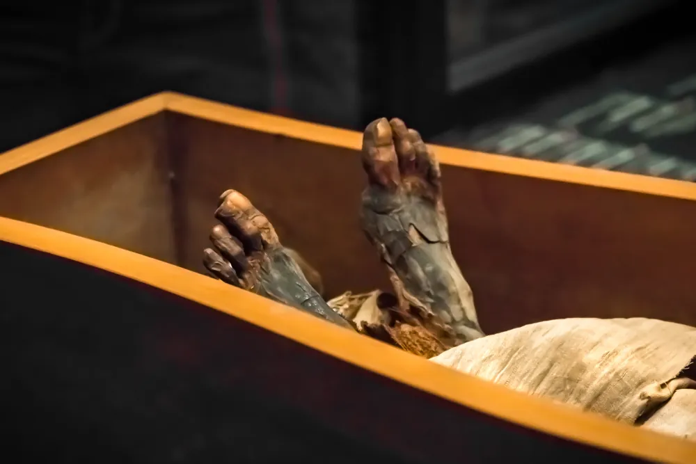 How To Mummify A ᴅᴇᴀᴅ Body, According To Earliest Ancient Egyptian Manual  Found Yet | IFLScience
