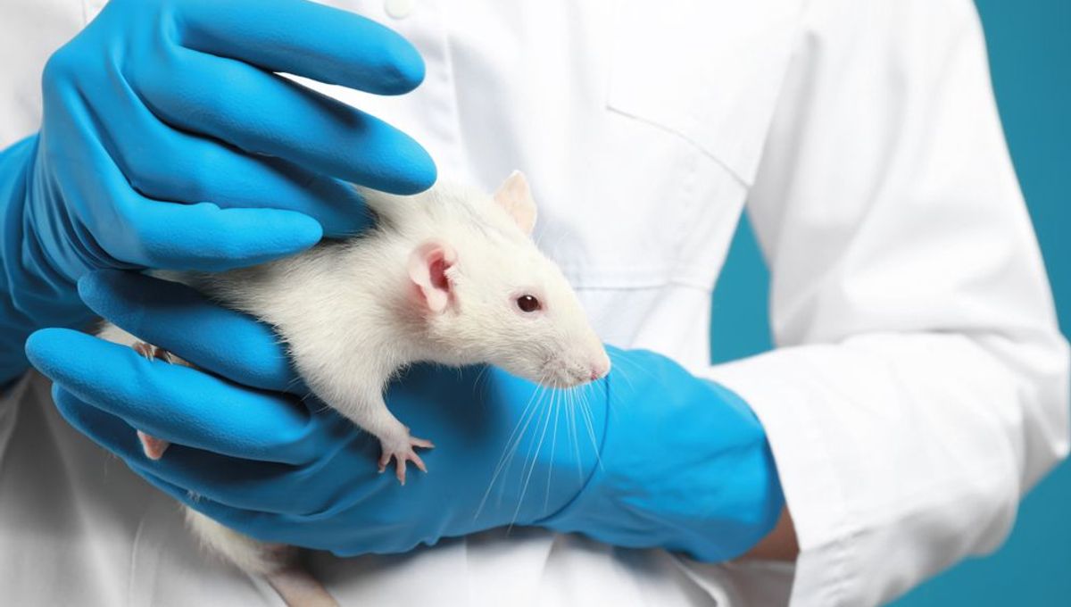 First Drug Developed Using No Animal Testing Submitted For FDA Approval