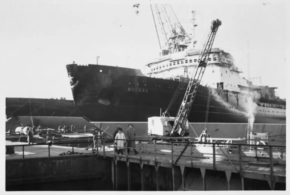 An Icebreaker Playing Classical Music Saved 2,000 Beluga Whales From  Certain Death In 1985 | IFLScience