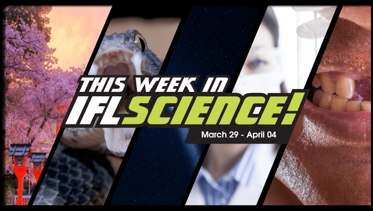 This Week In Science! IFLScience