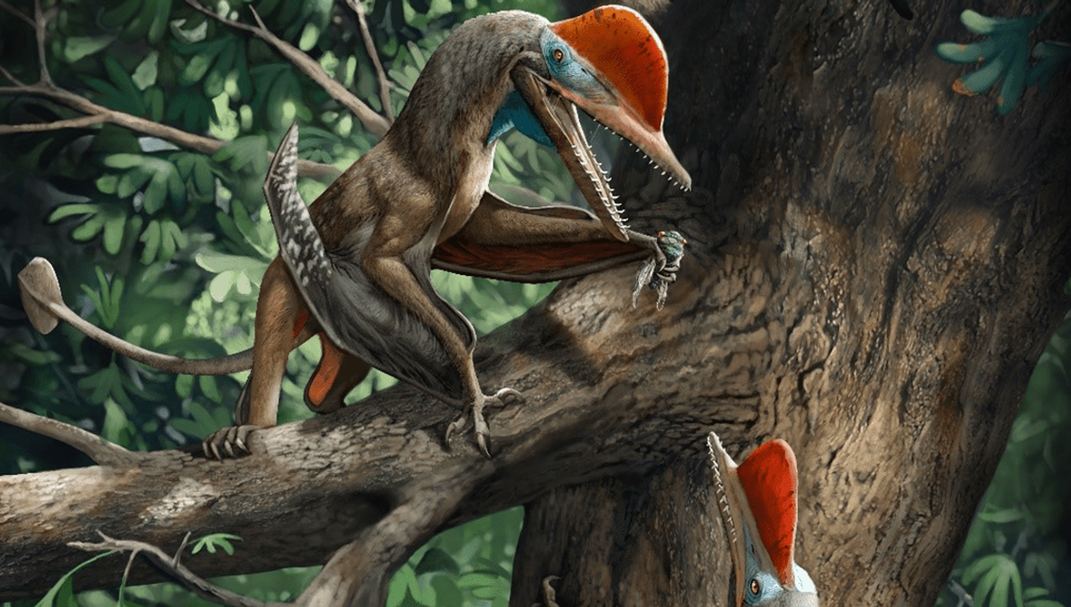 New Jurassic "Monkeydactyl" Is The Earliest Example Of Opposed Thumbs