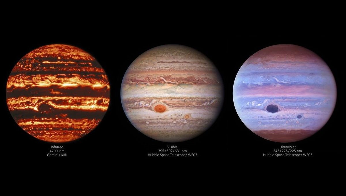 Incredible New Portraits Of Jupiter Show Its Churning Atmosphere In  Different Wavelengths | IFLScience