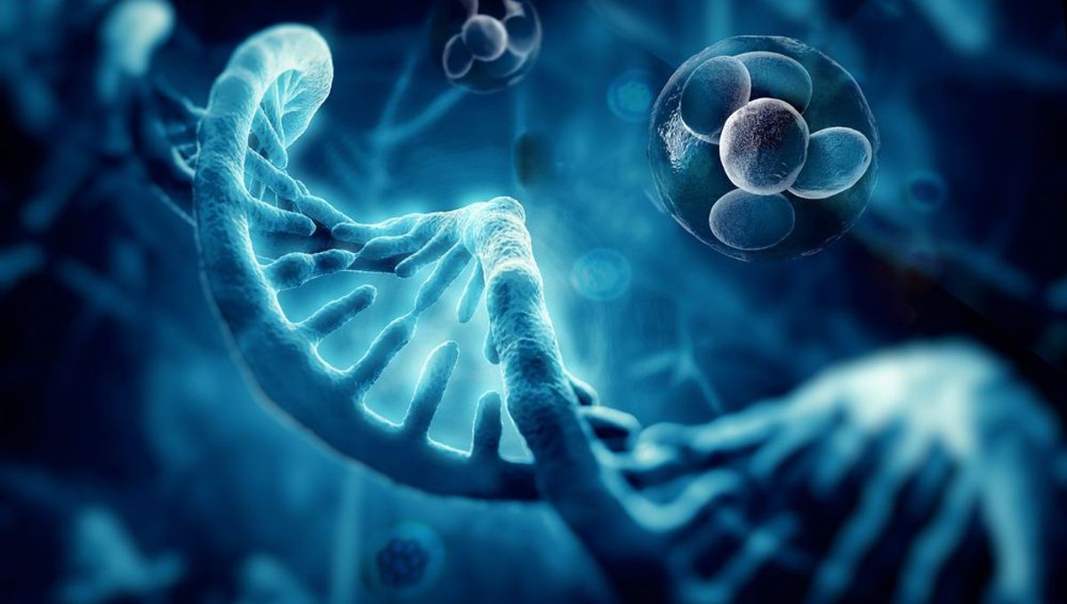 Dormant Viruses In Our Genome Can Damage Brain Development If Activated