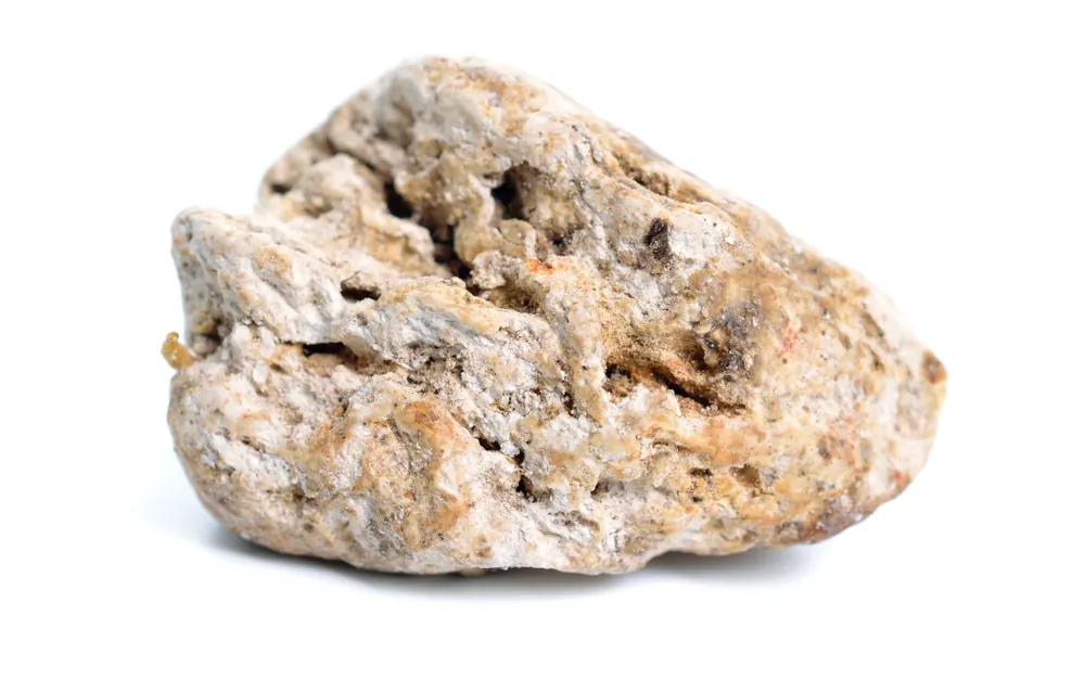 Whale “Vomit” Found In Yemen Worth $1.5 Million – Why Is Ambergris