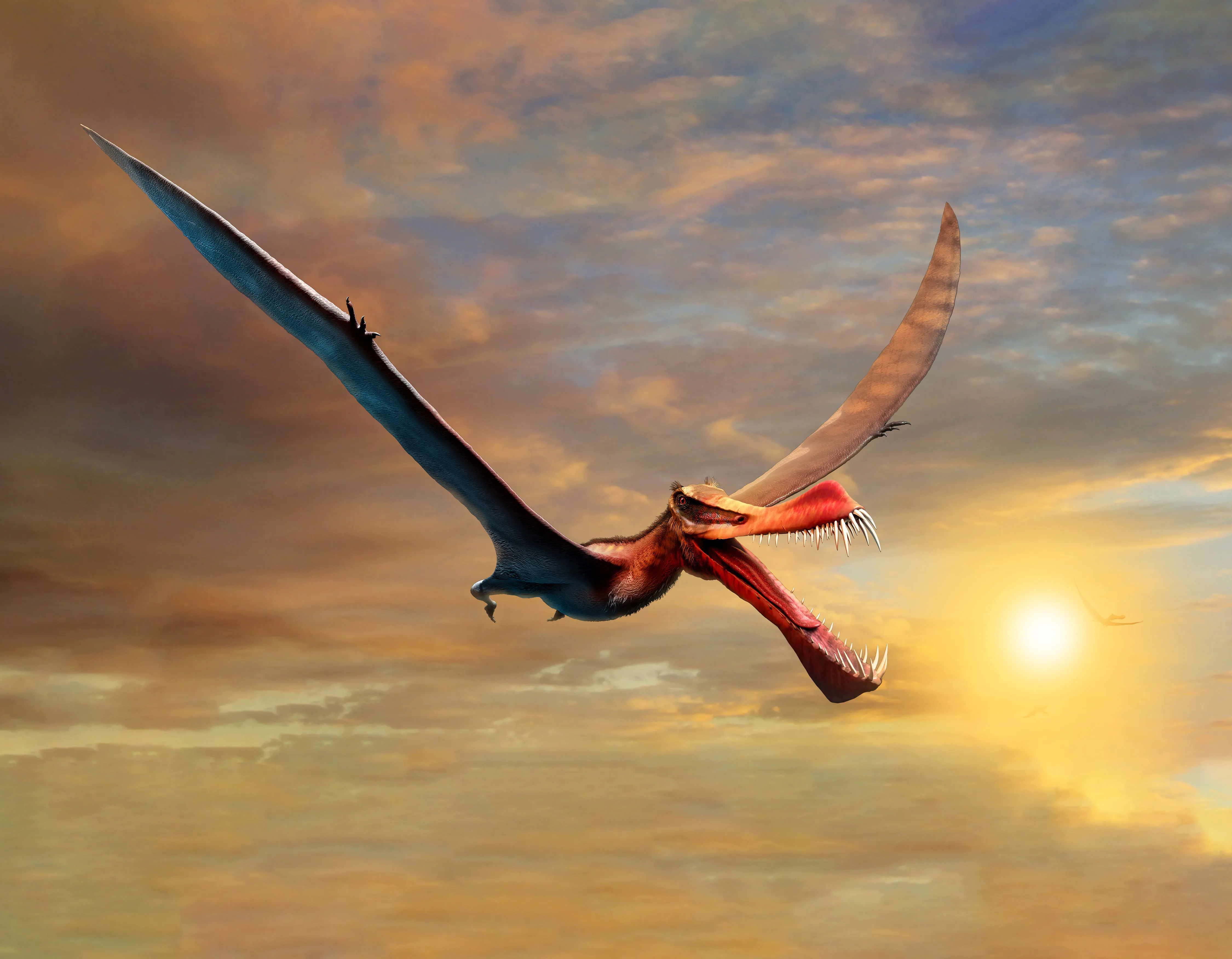 Fearsome ”Dragon” Was Largest Known Flying Reptile To Rule