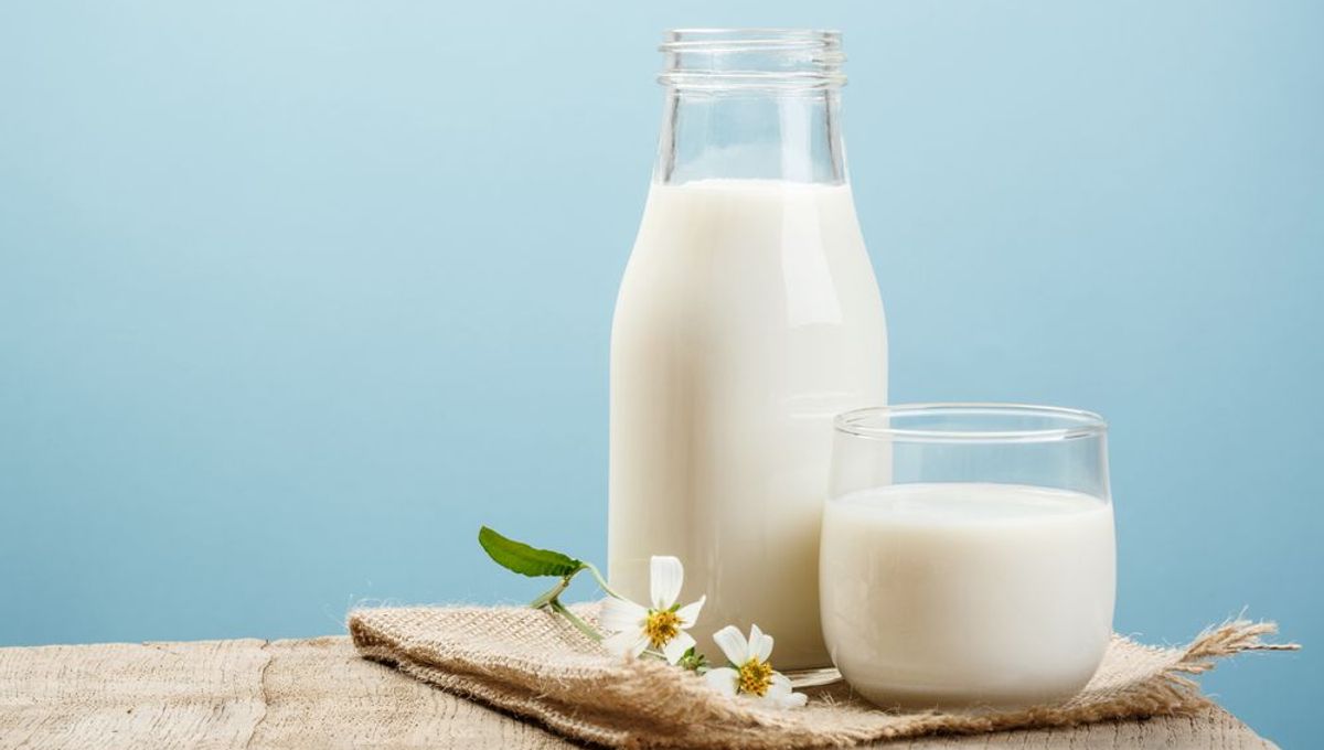 Lab Grown LactoseFree Milk Could Be Coming To Supermarkets Near You