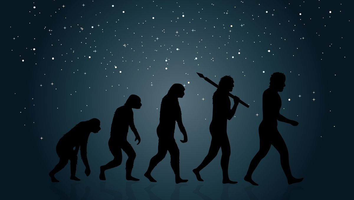 Very Evolution Majority Of Americans Now Accept Evolution, According To New Study ...
