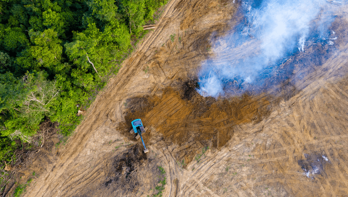 Record High Number Of Environmental Activists Murdered In 2020 | IFLScience