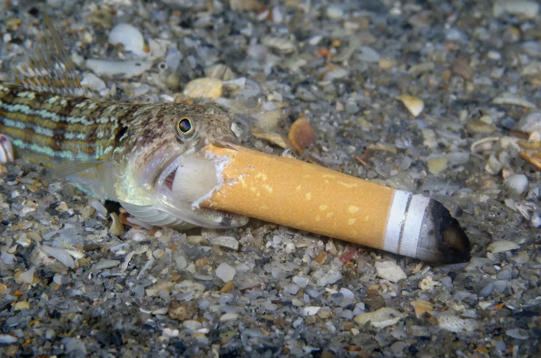 Sobering Photo Of A 