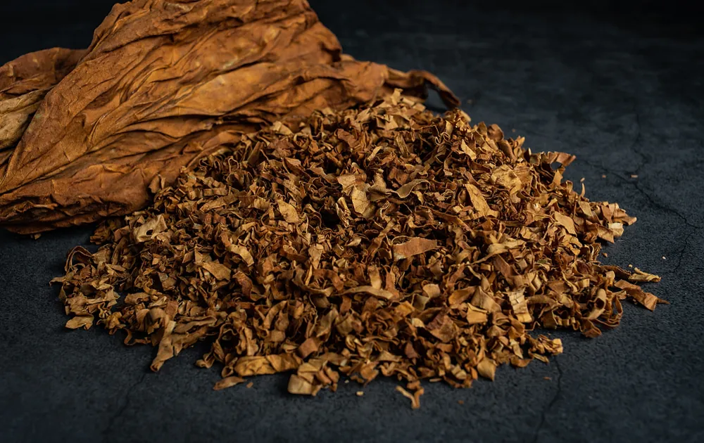 baba 120 tobacco price Chewing Tobacco baba 120 tobacco price Chewing Tobacco