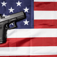 gun