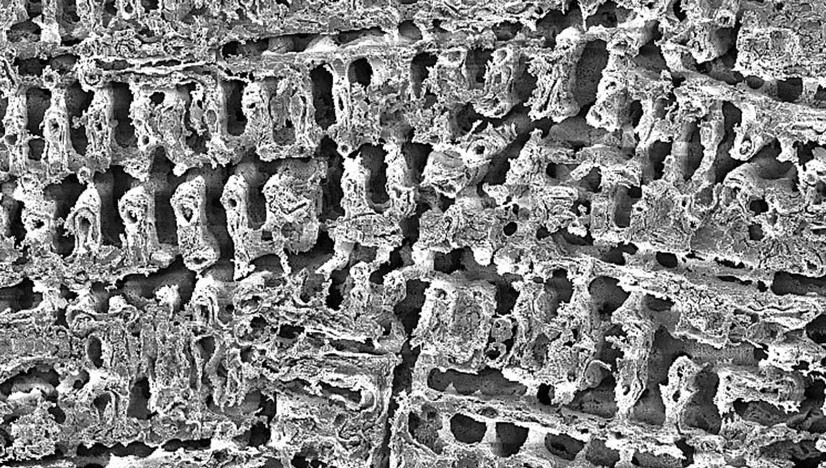 New Copper Surface Kills Bacteria In Just 2 Minutes, Over 100 Times