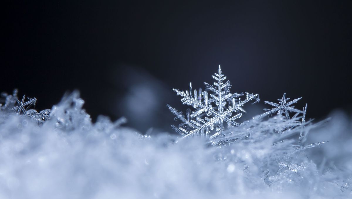 Secrets Of Snowflakes Explained By "Snowflake Designer" (Yes That's A Thing) IFLScience