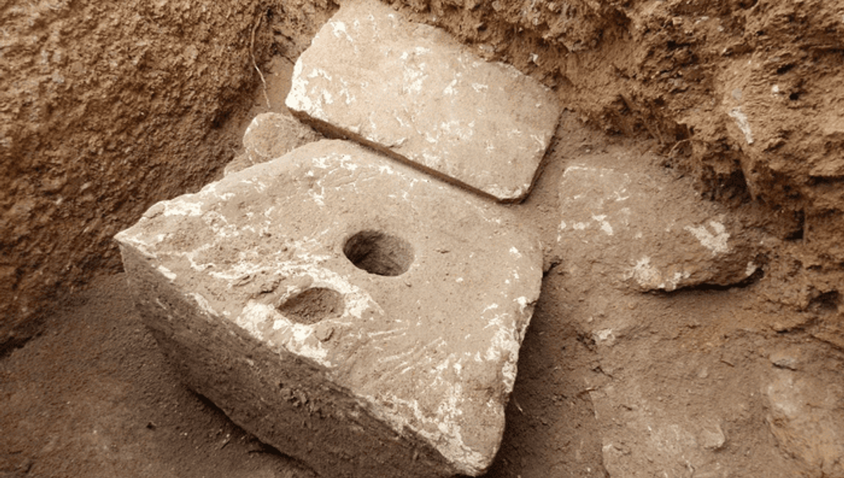 2,700-Year-Old Toilet Reveals Biblical Elite Were Riddled With Parasites |  IFLScience, image size:1200x680