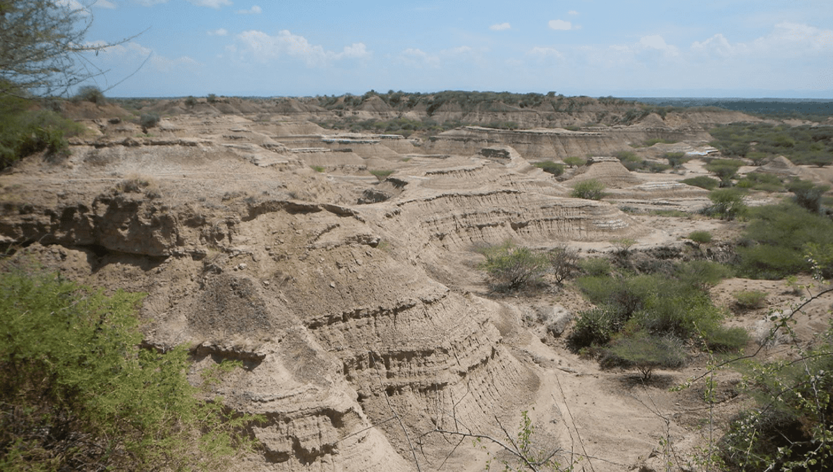 Earliest Human Fossils From East Africa Dated To At Least 233,000 Years Ago IFLScience