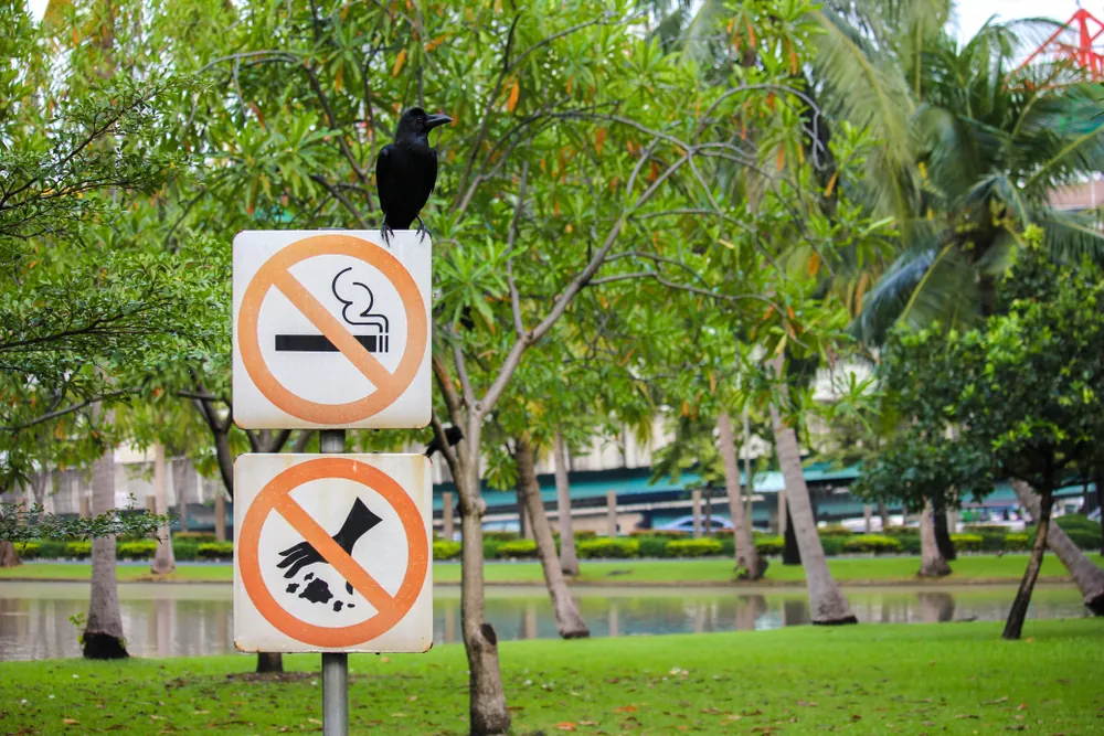 The Crows Nest…. 🪹 Can Anyone Remember This Being The Crows Nest ?? 🐦‍⬛🪹 #aberdeen Australia