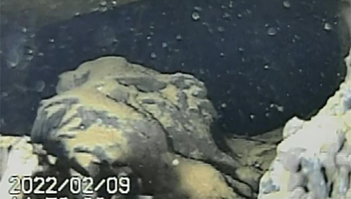 シーホープ RadioActive New Photos And Footage Show Radioactive Ruins Of Fukushima Nuclear