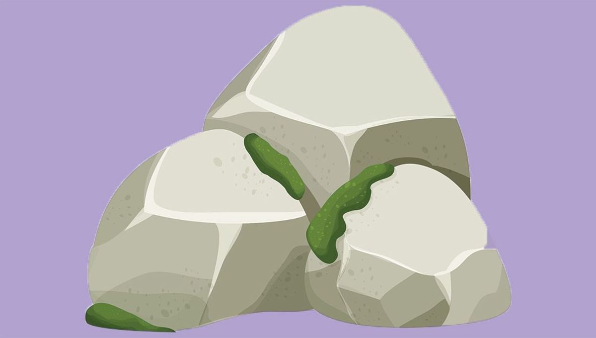 NFT Collector Accidentally Sells $1 Million Drawing Of Rock For Less Than A  Cent | IFLScience