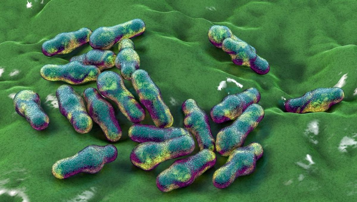 Botulism From HomeCanned Food Recently Killed A Man In The US