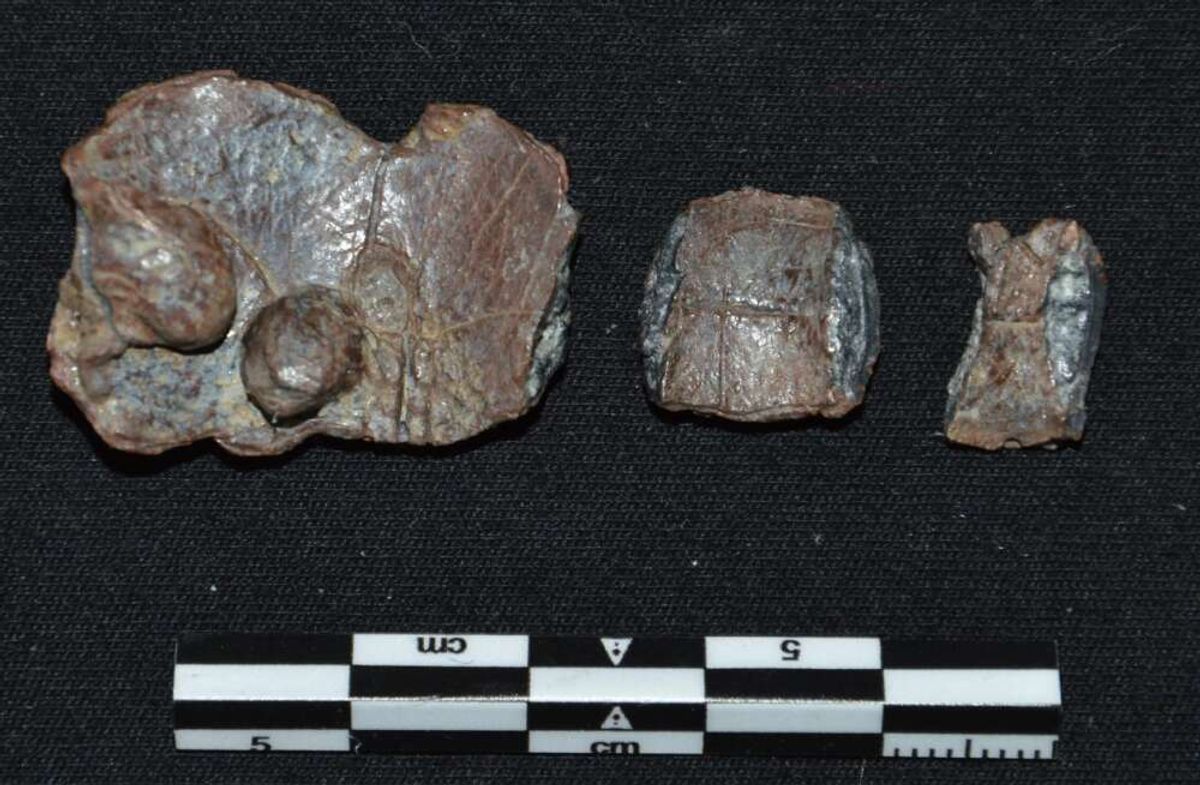 liver-curse-tablet-l.jpg