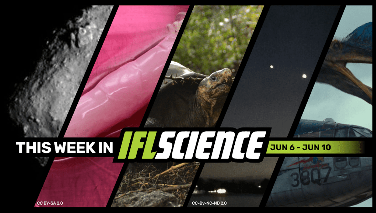 Updated Science This Week In Science! | IFLScience