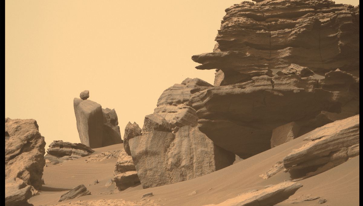 Snake Head And A Balancing Cairn Spotted On Mars By Perseverence ...