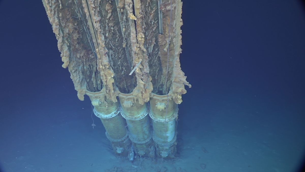 Sammy B Torpedo Tubes.