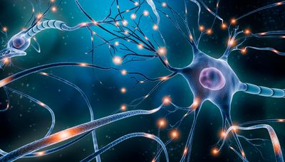 axon