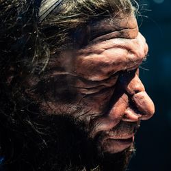 Neanderthal