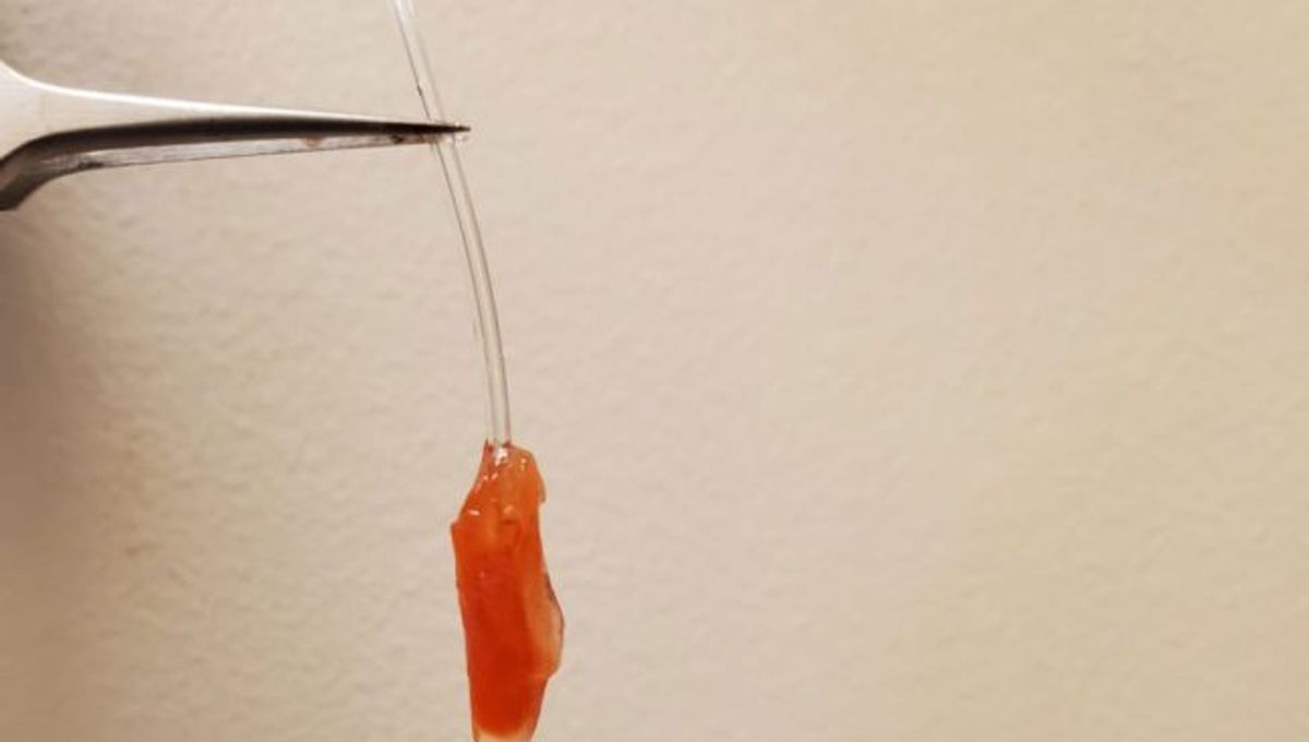 Scientists Grow Human Heart Ventricle In Lab And It Beats Just Like The Organic Kind