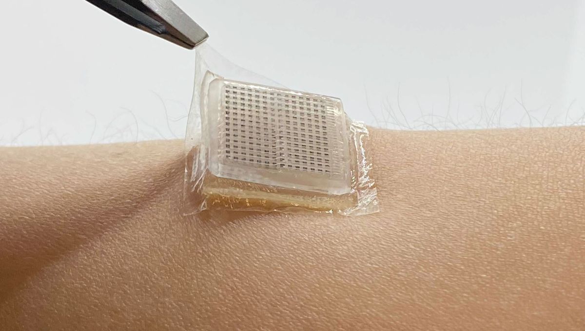 Wearable Ultrasound Produces Images So Clear You Can See Your Own Internal Organs