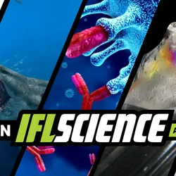 All the biggest science news stories of the week.