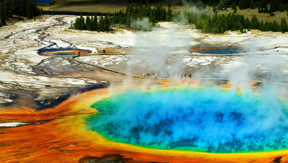 Human Foot In A Shoe Found Floating In Yellowstone Hot Spring IFLScience