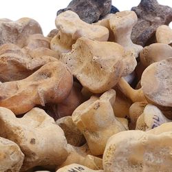 Ancient dice Maresha