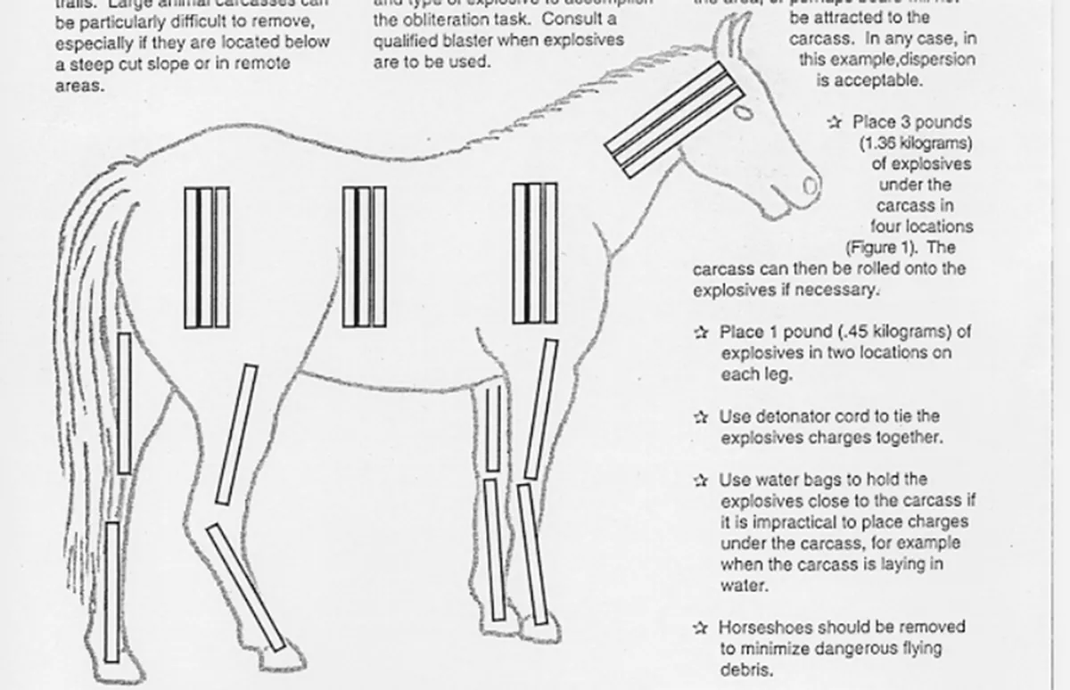 IFLS The US Forest Service Guide To Completely Obliterating A Horse