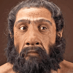 Neanderthal facial features in ancient human skulls could identify where interbreeding primarily occurred