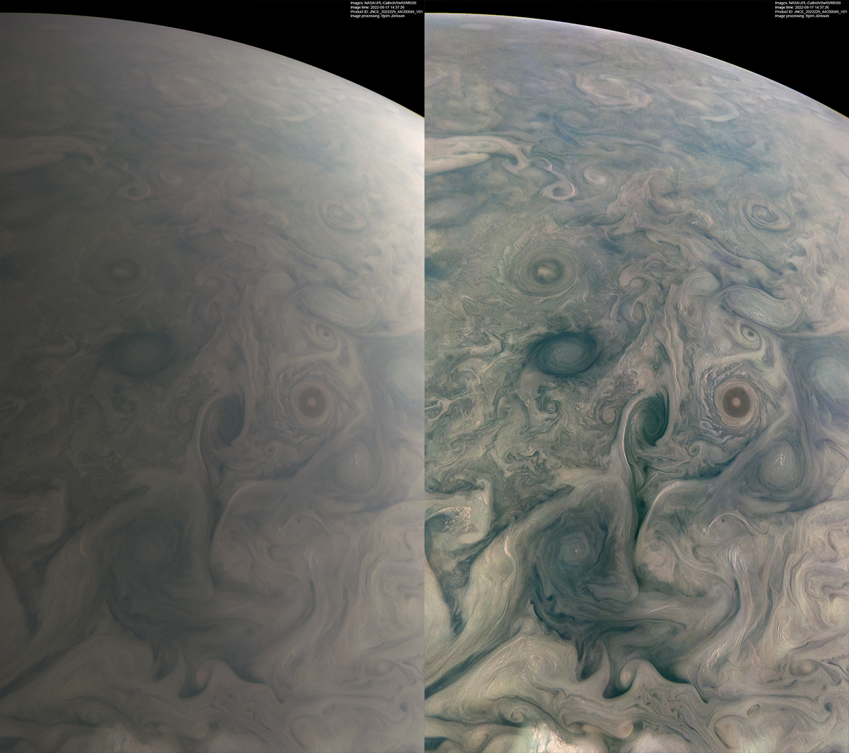 Gorgeous View Of Jupiter In 'True Colors' | IFLScience